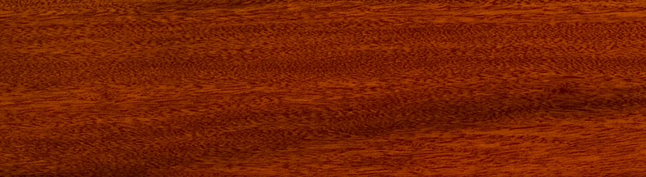 實(shí)木領(lǐng)袖地板-落腺豆-T6