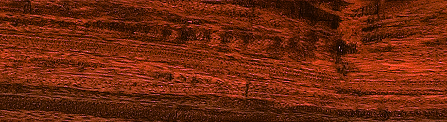 實(shí)木領(lǐng)袖地板-落腺豆-T1仿古