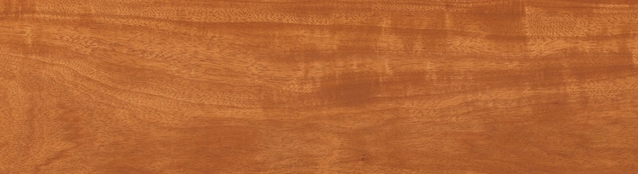 實(shí)木領(lǐng)袖地板-落腺豆-T5